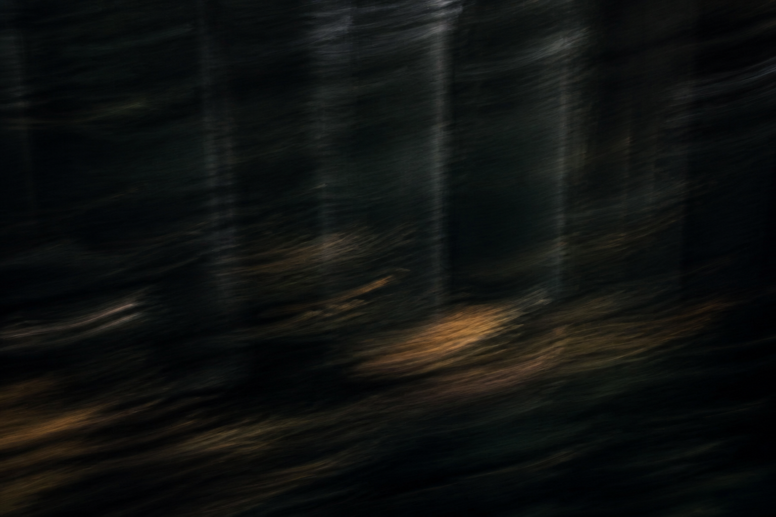 Dark motion-blurred forest used as Valinir hero atmosphere